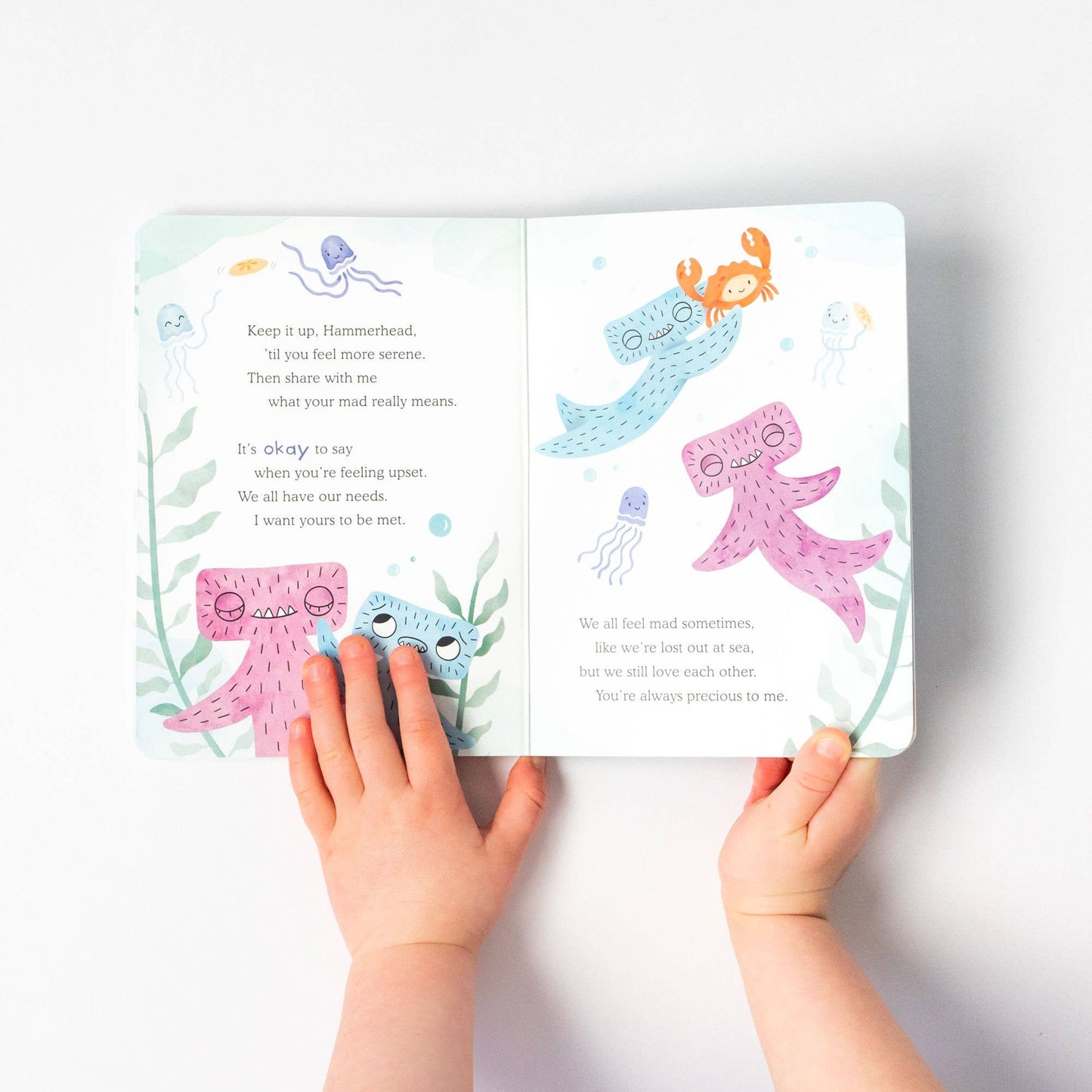 Hammerhead Snuggler + Intro Book - Conflict Resolution