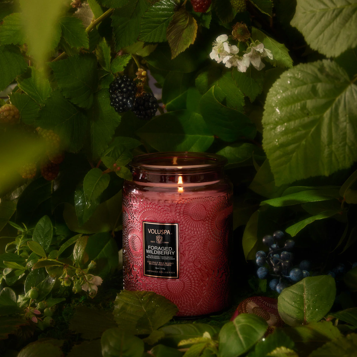 Voluspa Foraged Berry- Large Glass Candle