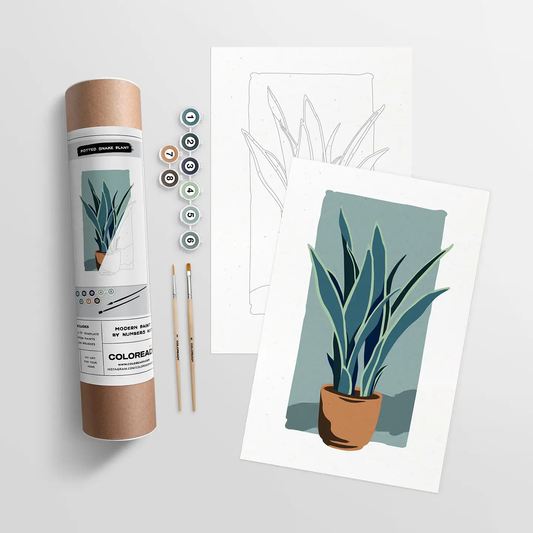 Coloready- Potted Snakeplant Modern Paint by Numbers Kit