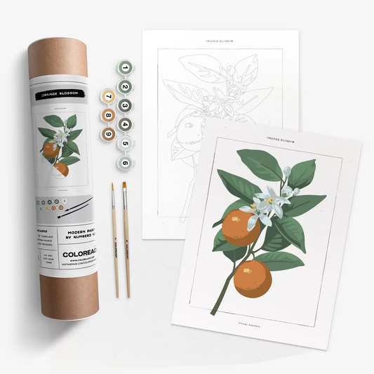 Coloready- Orange Blossom Modern Paint by Numbers Kit