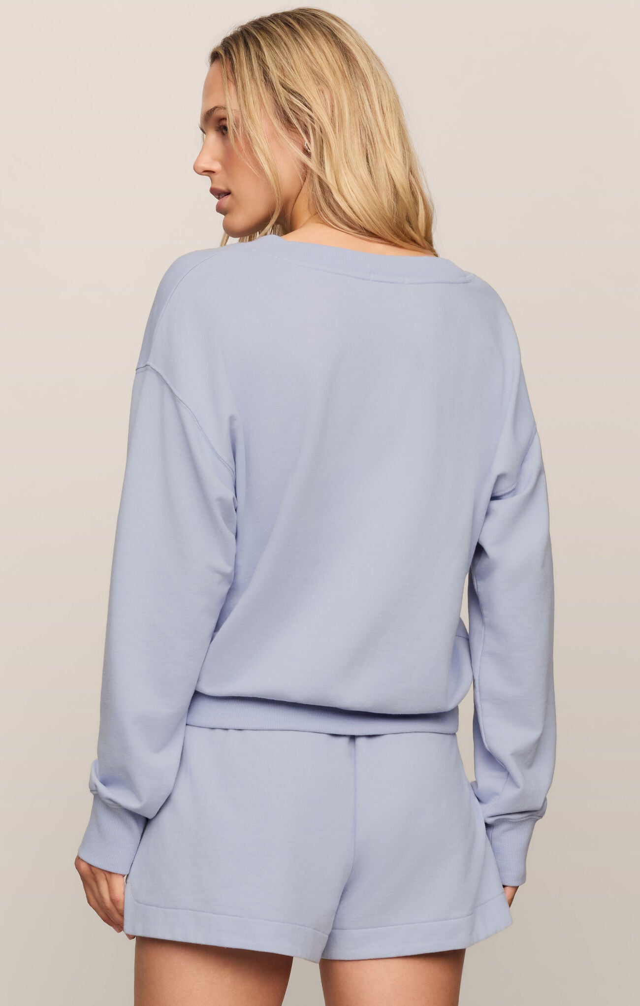 Z Supply The Everyday V-Neck- Skyline