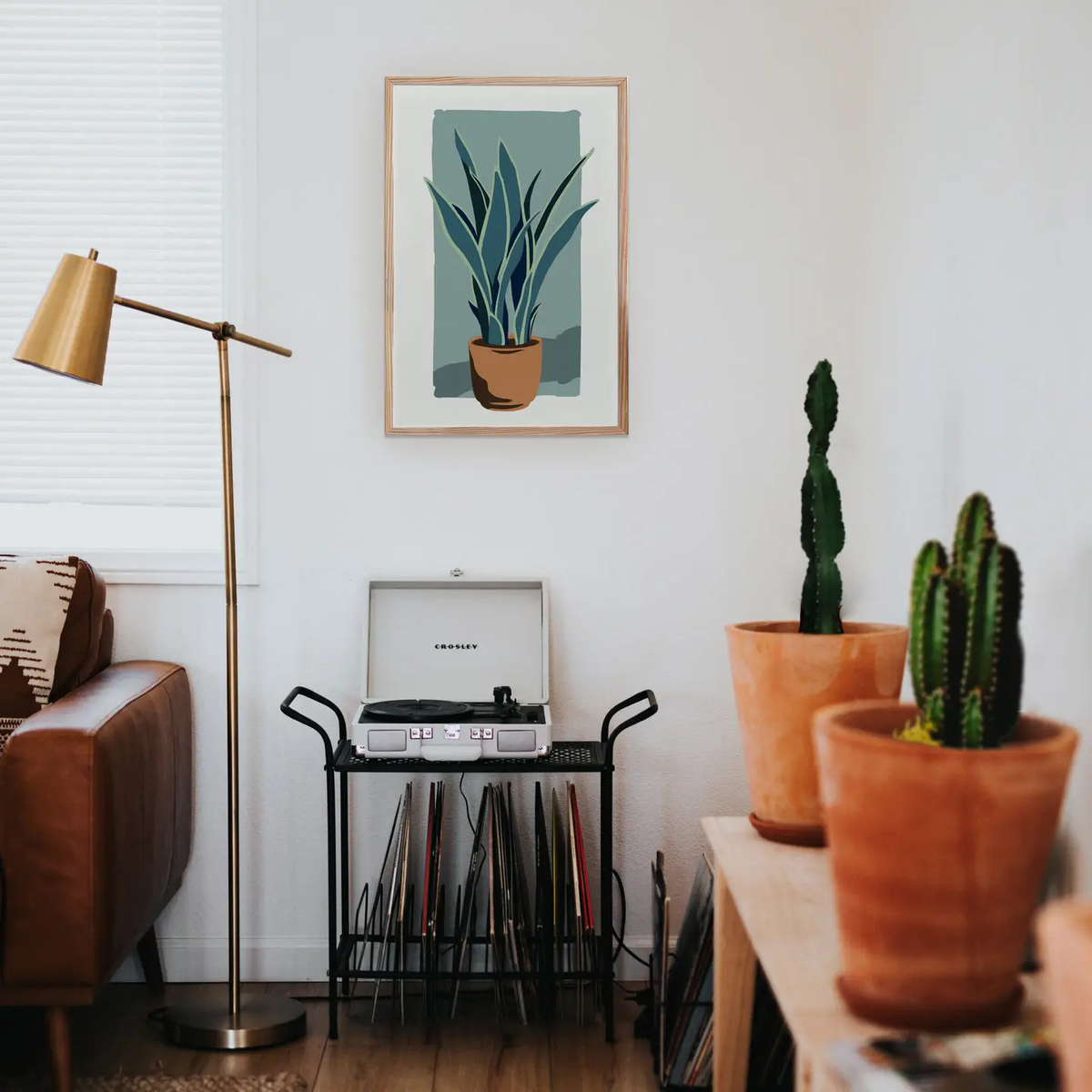 Coloready- Potted Snakeplant Modern Paint by Numbers Kit