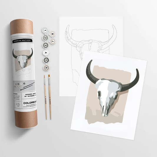 Coloready- American Southwest Modern Paint by Numbers Kit