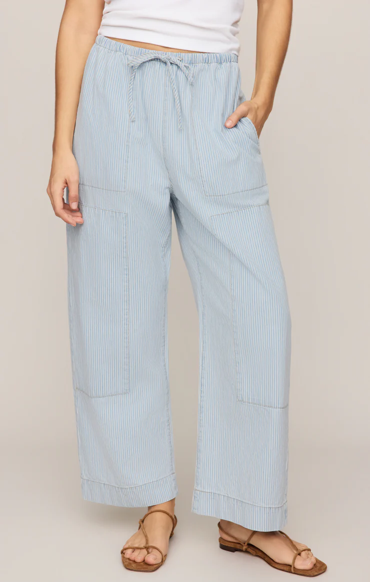 Z Supply  Soft Denim Carpenter Pant- Seaboard Stripe