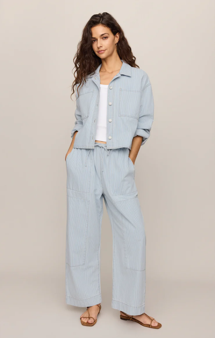 Z Supply  Soft Denim Carpenter Pant- Seaboard Stripe