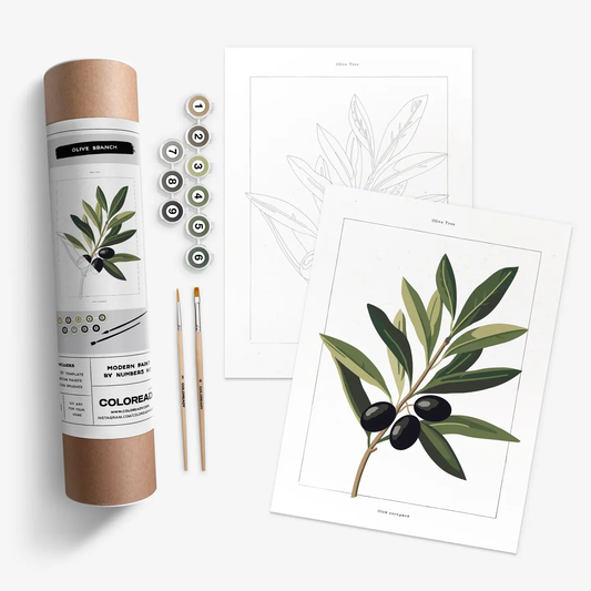 Coloready- Olive Branch Botanical  Modern Paint by Numbers Kit