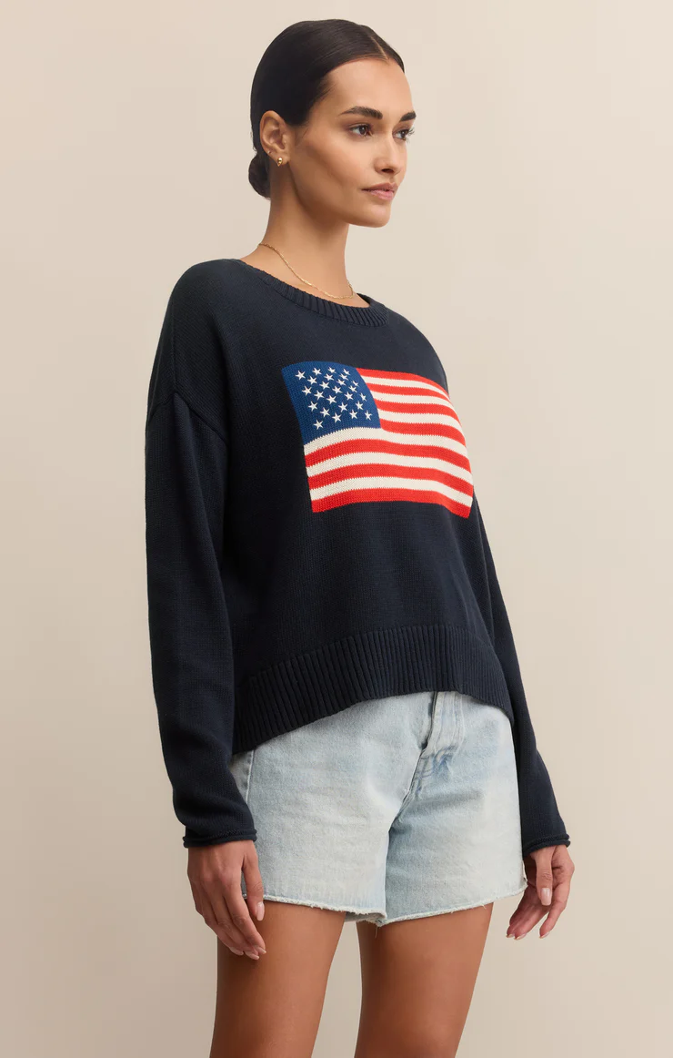 Z Supply Sienna Patriot Sweater